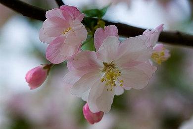 《上行战场》IGN 7分：故事不好但枪战很爽快